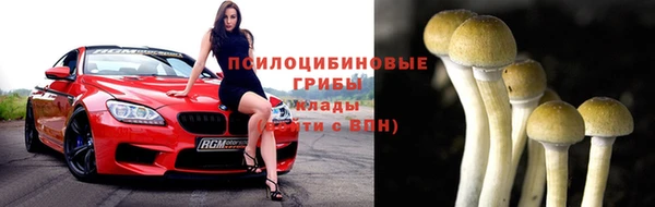 ГАЛЛЮЦИНОГЕННЫЕ ГРИБЫ Балабаново