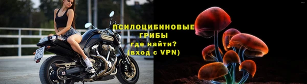 ГАЛЛЮЦИНОГЕННЫЕ ГРИБЫ Балабаново