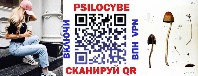 Псилоцибиновые грибы прущие грибы  купить наркотик  Гусев 
