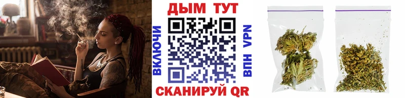 Шишки марихуана THC 21%  блэк спрут вход  Гусев  как найти  